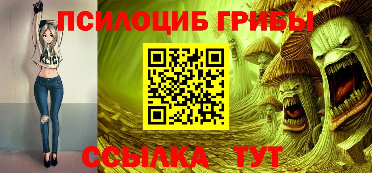 Баксан  Галлюциногенные грибы мицелий  Вход с VPN 